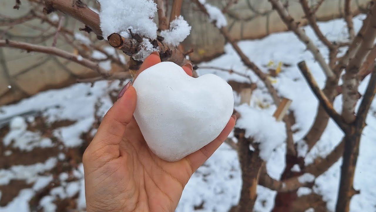 Snowy Morning & Cozy Iranian Cooking