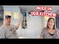 We have MOLD! Tearing our Kitchen Apart!