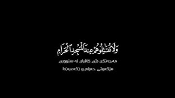 وقاتلوا في سبيل الله شاشة سوداء | #ماهر_المعيقلي حالات واتس | كرومات قرآن كريم