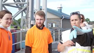 Code orange : Simulation d’un accident au traversier de Montmagny