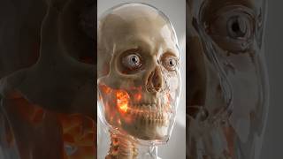 How Hot Sauce Burns Internal Systems. #shorts