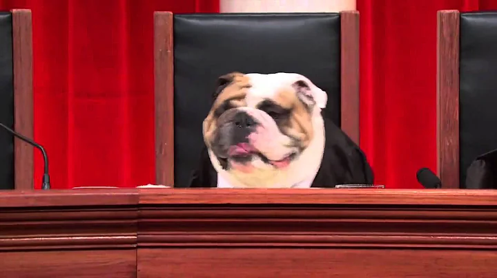 Supreme Court Dogs - North Carolina - Dental Examiners v. FTC #RealAnimalsFakePaws #PawJustice