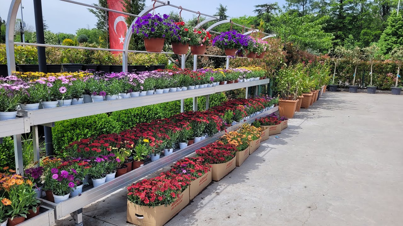 Sarıyer Bahçe Market Sera Gezisi.