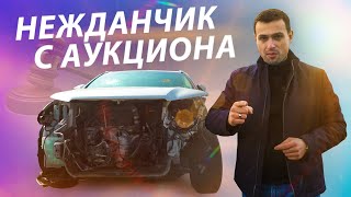 ПРОБЛЕМНЫЙ БИТОК ИЗ США. Я и подумать не мог ЧТО ТУТ ТАКОЕ...