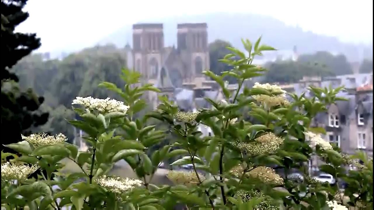 LOCH NESS MONSTER!!! Lovely family vacation that ended in horror