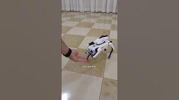 COMPREI UM CÃO ROBÔ DA CHINA!