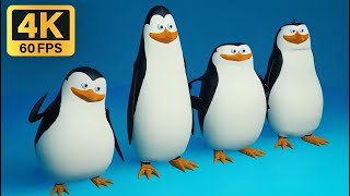 Los Pingüinos original [ 4K - 60 FPS ]