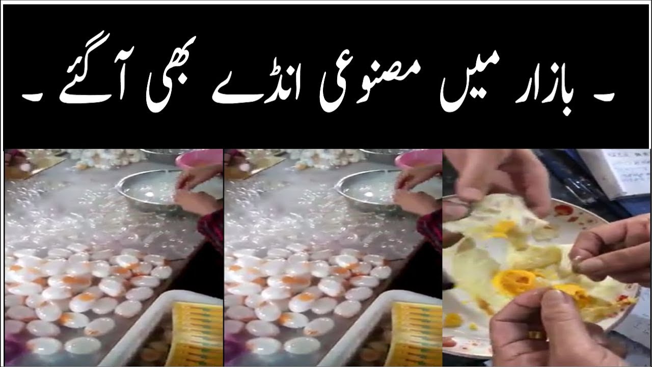 Artificial Eggs in Pakistan 1 Nov 2017 YouTube