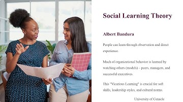 Lession 4: Learning in Organizational Behavior