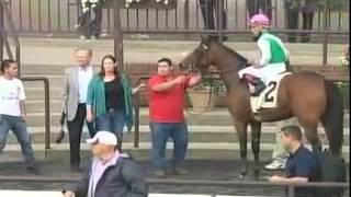 Thoroughbred Week: May 30, 2014