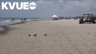 These Texas beaches were ranked top in the state