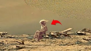 NASA's Mars Perseverance Rover New Video Footages || Mars Perseverance Rover 4k Video : Sol 1264