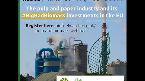 WEBINAR: THE PULP AND PAPER INDUSTRY AND ITS #BIGBADBIOMASS INVESTMENTS IN THE EU