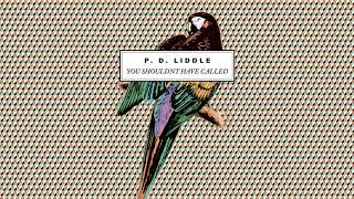 PD Liddle - 'You Shouldn't Have Called' (official audio)