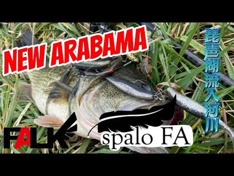 3☆FALK spalo FA 同等品☆形状記憶合金ワイヤー アラバマリグ