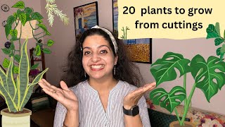 20 Plants you can easily grow from cuttings | कटिंग से पौधे FREE में #plantpropagation