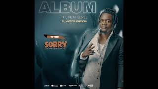 Bl_victor__Sorry (audio_visualisez)