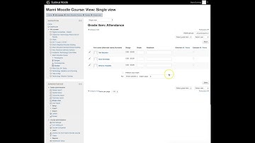 Manual Grading in Moodle