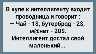 Интеллигент в Купе Показал Проводнице! Сборник Свежих Анекдотов! Юмор!