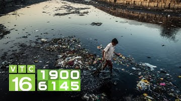 Sông Cầu bị "bức tử", bốc mùi hôi thối | VTC16