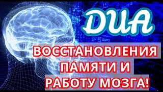 ВОССТАНОВЛЕНИЯ ПАМЯТИ И РАБОТУ МОЗГА! ПРЕКРАСНОЕ ДУА!