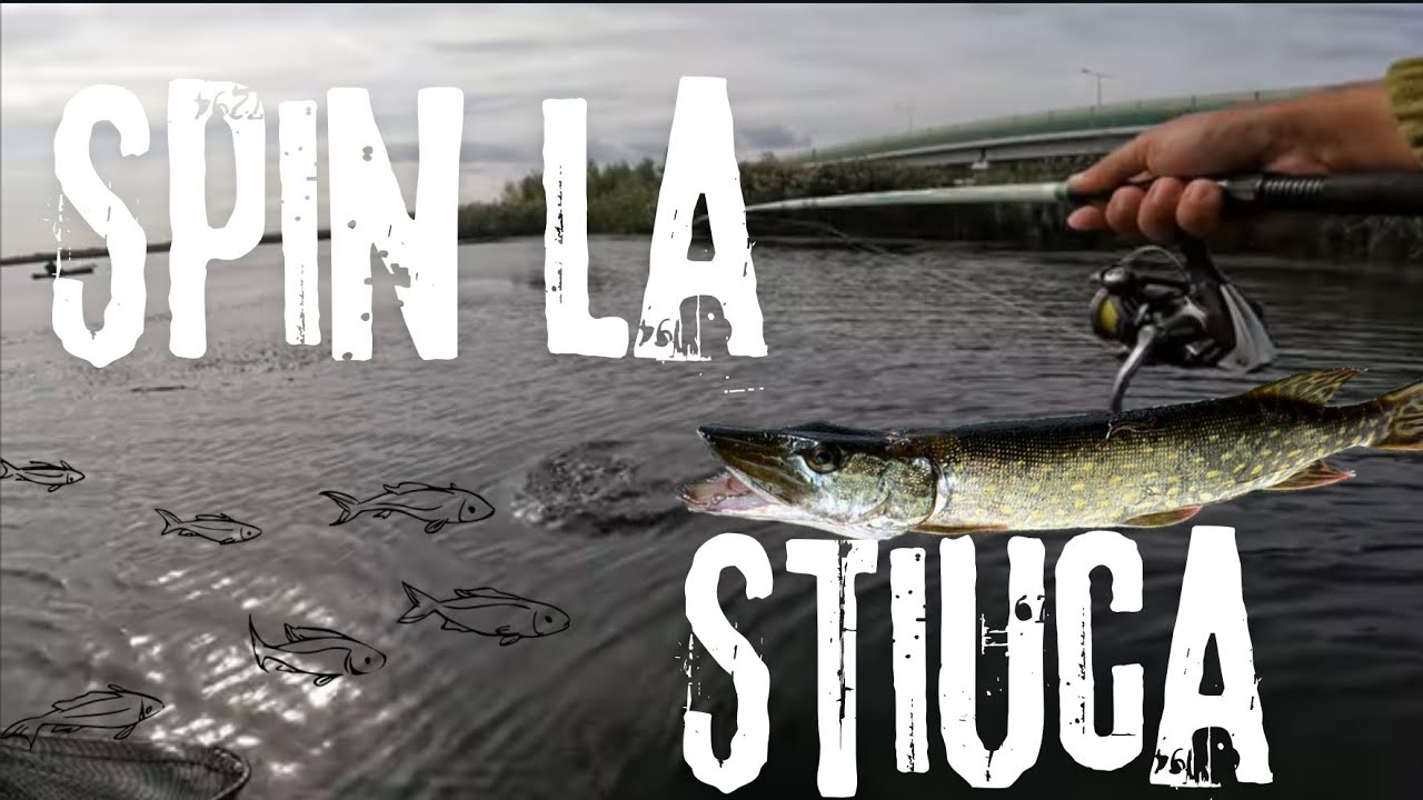 Spinning la stiuca pe salbatic inceput de octombrie👀Pike fishing🎣🐟🔥