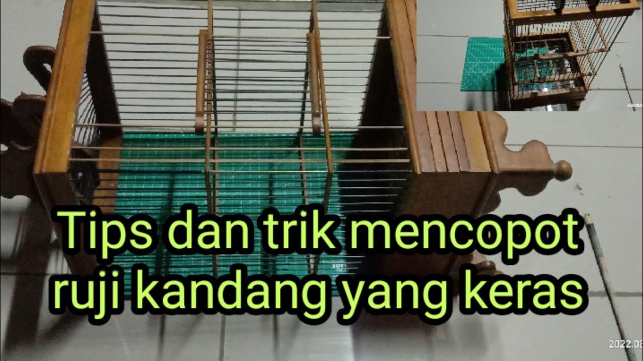 Tips dan trik mencopot ruji kandang yang keras,, @Leoandromedha, channel