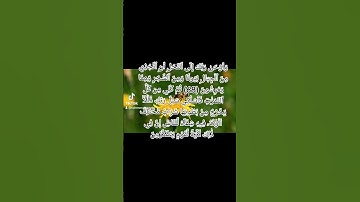 ما تيسر من سورة النحل #سورة_النحل #القرآن_الكريم #صدقة #quran #بر_الوالدين