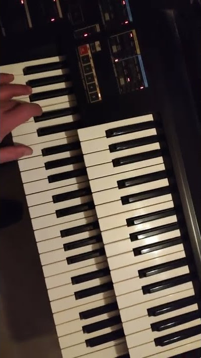 Yamaha Keyboard-Orgel live