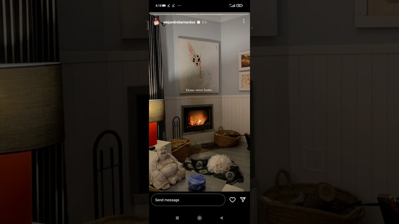 Alejandro Bernardos instagram story