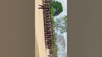 Gwaride Lilivyo Endeshwa Kwa Umahiri Mkubwa Na Askari Hawa Pongezi Kwao Army Military Duet 