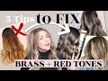 5 Tips To Prevent +Get  Rid of Brass + Red Tones in Hair