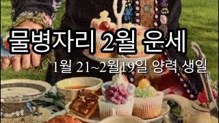 [별자리]물병자리 2월 연애/직장/금전/조언