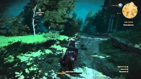 The Witcher 3: Wild Hunt:Geralt swimming on land