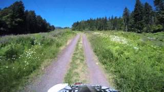 Raptor 660 Speed Run Through the Woods by grberglund 309 views 8 years ago 2 minutes, 31 seconds