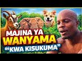 JIFUNZE KISUKUMA HAPA MAJINA YA WANYAMA