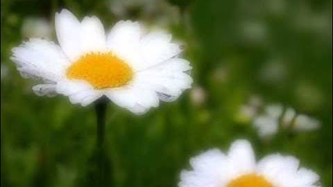 سورة الكهف من 99 إلى 110