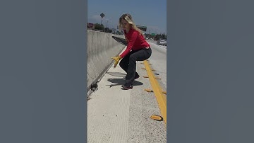 Kitten on the freeway needs a Christmas Miracle to survive!
