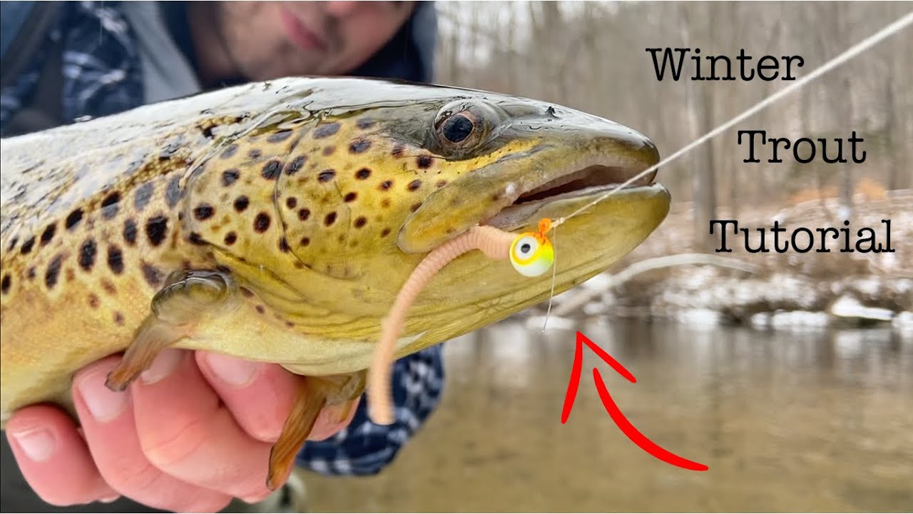 Winter Trout Fishing HOW TO : PowerBait Worms and Tube Jigs! 