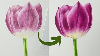 How To Get Details Over Colored Pencil Plus Botanical Colored Pencil Art
#coloredpencildrawing #coloredpenciltutorial #coloredpencils
https://www.naomicoutureart.com/ - Free Real Time Tutorials & More In Depth Tutorials
In todays video I am going to show you how you can take your colored pencils over the top of your base layer and create even more details and really make your colored pencil art look more realistic. I will be focusing on how to create the details and why we want to focus on our lights and darks. If you want to see how I created the base layer then check out this video here https://youtu.be/4TwLzdn6pOM
Check out my Patreon for more Tutorials & Content: https://www.patreon.com/naomicoutureart?fan_landing=true
If you enjoyed this video then please consider SUBSCRIBING & LIKING & COMMENTING on the video, it really does help me out.
Real Time Part 1 https://youtu.be/idpmo04Vouo
Real Time Part 2 https://youtu.be/ajpLCh3PINo
Supplies Used:
Hot pressed watercolor paper (Im using Strathmore 500 series)
Prismacolor & Polychromos colored pencils
Gamsol odorless mineral spirits (you can use a blender pencil instead)
masking tape if you want to tape your paper down
Glassine paper (no smudge paper, you can use a clean piece of paper if needed)
My favorite supplies
-I will earn a small commission if you use these links, thank you so much!
Colored pencil
Faber Castell Polychromos
CAN https://amzn.to/3by2Iss USA https://amzn.to/3HzSLJg
Faber Castel Albrecht Durer Watercolor Pencils
CAN https://amzn.to/30tw1pS USA https://amzn.to/3Djr1WA
PRISMACOLOR Premier
CAN https://amzn.to/3bENVfX USA https://amzn.to/3Dmnney
Caren dache Luminance
CAN https://amzn.to/3qKzJ9h USA https://amzn.to/3DmnhUe
Pastels
20 pure colors pan pastels https://amzn.to/3cgwL7I
10 pan pastel trial set https://amzn.to/3qKahV1
Sofft tools https://amzn.to/3kBInGL
Pastelmat paper https://amzn.to/3Hsmeo6
CANSON Mi-Teintes Pastel Pad https://amzn.to/3FkW45a
Watercolor Brushes
Silver Black Velvet Brushes
CAN https://amzn.to/3mVooTr USA https://amzn.to/3CjpvCs
Princeton Neptune Brushes
CAN https://amzn.to/3xAbijs USA https://amzn.to/30vk3Qd
Watercolor paper
Arches Cold & Hot-pressed
CAN https://amzn.to/3er2oxw USA https://amzn.to/3oAW6iB
Academy Watercolor Blocks
CAN https://amzn.to/2OYPWuD USA https://amzn.to/3kH43kV
Strathmore 500 series cold & hot-pressed
CAN https://amzn.to/3vg5Sc8 USA https://amzn.to/31YMOFb
Watercolors
Winsor & Newton Cotman watercolors https://amzn.to/3qFE6pD
Winsor & Newton Professional https://amzn.to/3oq7nSE
DANIEL SMITH Watercolors
CAN https://amzn.to/38qz8n2 USA https://amzn.to/30wowSI
M Graham Watercolors
CAN https://amzn.to/3rF6SV9 USA https://amzn.to/3oAfHza
Opaque Whites
M Graham permanent white gouache
CAN https://amzn.to/3vgiwb9 USA https://amzn.to/3kE280u
PH Martins bleed proof white
CAN https://amzn.to/3t6JwYJ USA https://amzn.to/3qDgp1d
Brush & Pencil Touchup Texture and Titanium White
CAN https://www.deltaart.ca/category/Bru/brush pencil USAhttps://www.dickblick.com/brands/brush-pencil/
Palette
MEEDEN Airtight Leakproof Watercolor Palette
CAN https://amzn.to/38uUqjf USA https://amzn.to/3oAlWTN
Sketchbooks
Etchr Hot and Cold pressed 100% cotton sketchbooks
CAN https://amzn.to/3bxVDYT USA https://amzn.to/3l0aTCv
Paul Rubens Watercolor Journal, 100% Cotton hot pressed
CAN https://amzn.to/3bxVXa3 USA https://amzn.to/30zsEBt
Music by
Epidemic Sound
https://www.epidemicsound.com/referral/2qlizt/
Some links are Amazon affiliate links of all my supplies that I use. By using these links, I receive a small commission of every purchase (AT NO EXTRA COST TO YOU). Thank you so much for all of your support! How To Get Details Over Colored Pencil Plus Botanical Colored Pencil Art