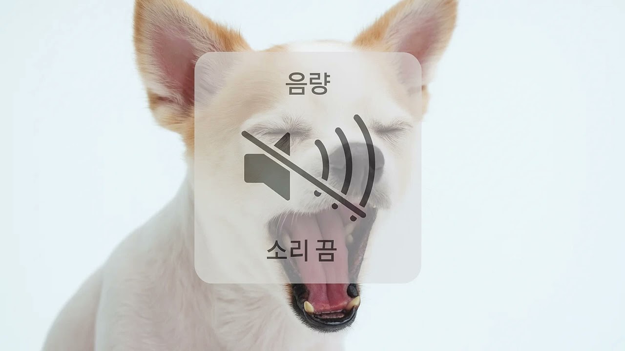 연구실에서 소리지르고 싶을 때 [playlist]