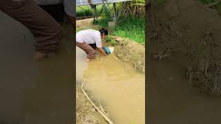 #farming #farmer #youtubeshorts #love #ytshorts #shorts #misspiru #viral #trendingshorts