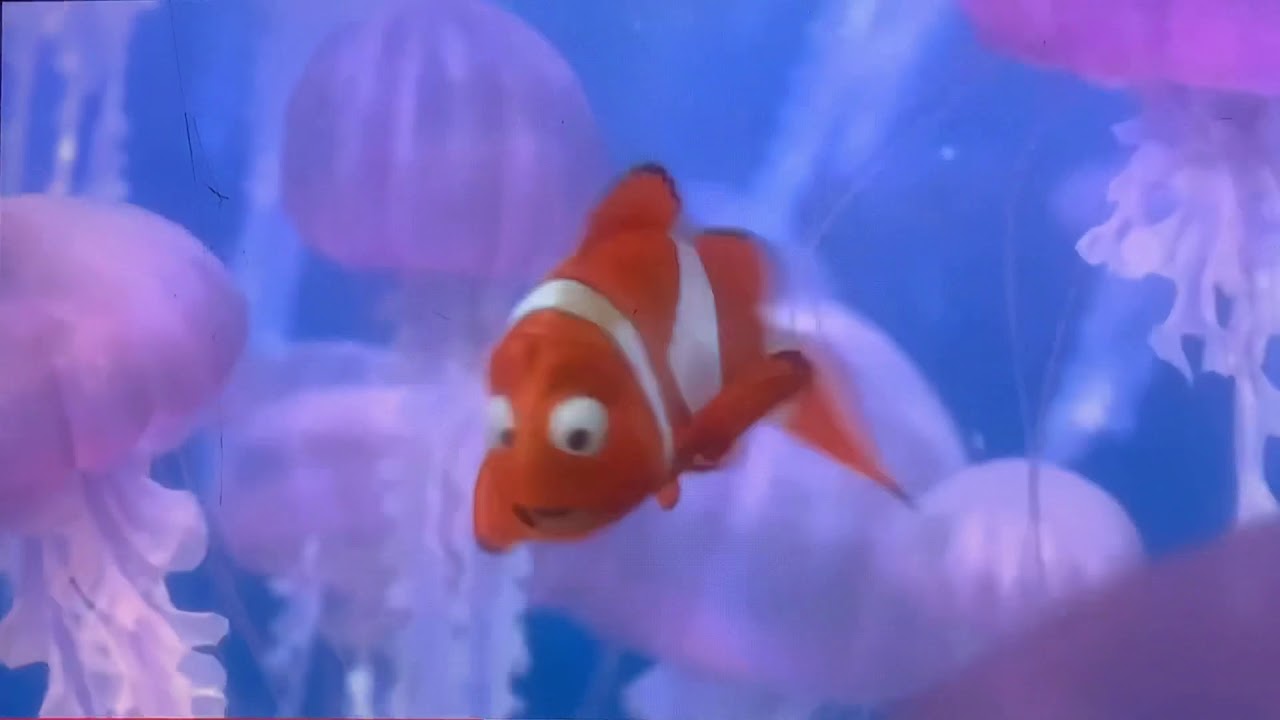 Finding Nemo jellyfish in Japanese - YouTube
