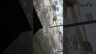 Download Lagu DJ korona 👑👑🎤🎧🎛️ mix....💪😁🍀 MP3