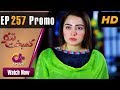 Watch Kambakht Tanno - Episode 257 Promo | Aplus ᴴᴰ Dramas | Tanvir Jamal, Sadaf Ashaan | Pakistani Drama Online In HD