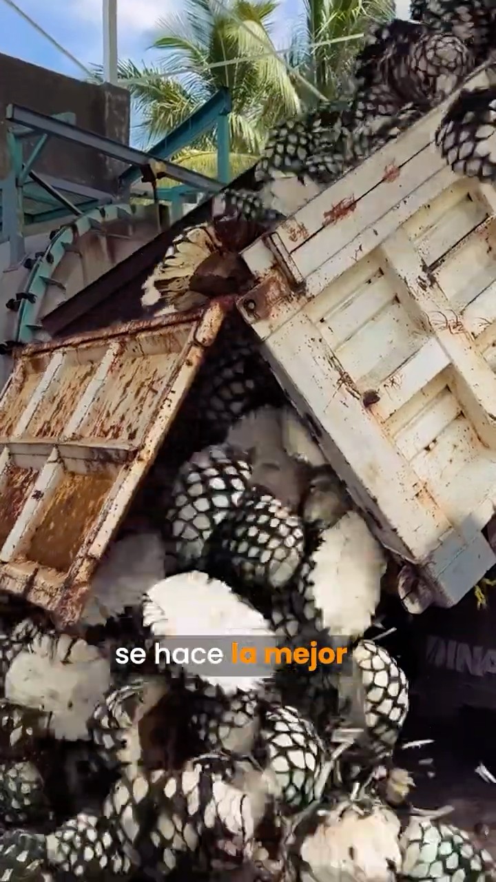 3 lugares de Jalisco que son más bonitos que Europa