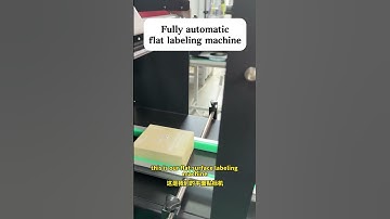 Small labeling machine fit for various kinds of box/product flat surface labeling within 500cm#label