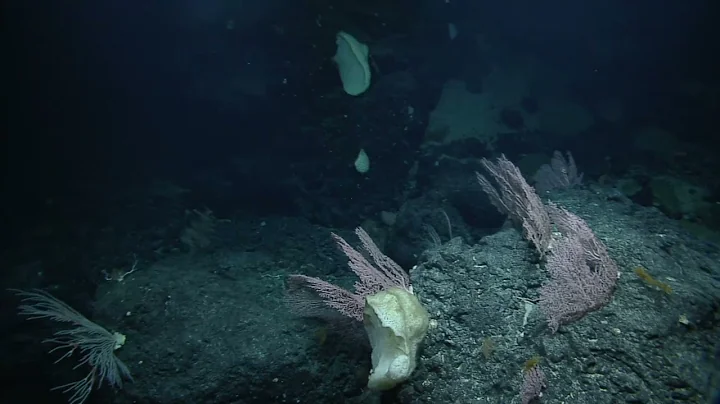 NA153_H1992_(5of10)_20230814T101854Z.mp4