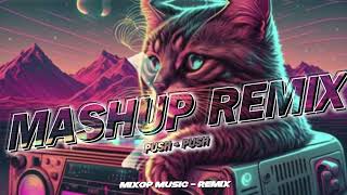 MIX MASHUP REMIX - PUSH PUSH BECAKS - MIXOP MUSIC