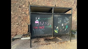 Continuous flow wormery